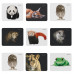 Коврик Defender Wild Animals (50803)