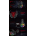 Гарнитура Havit HV-H2028U; Black