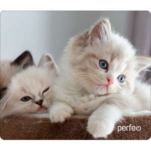 Коврик Perfeo Cat; 196х236х3 мм (полипропилен)