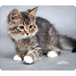 Коврик Perfeo Cat; 240х200х2 мм (PF_D0661) Рис.20