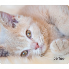 Коврик Perfeo Cat; 350х300х3 мм (PF_D0641) Рис.4