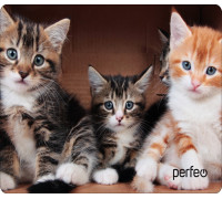 Коврик Perfeo Cat; 350х300х3 мм (PF_D0643) Рис.6