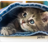 Коврик Perfeo Cat; 350х300х4 мм (PF_D0648) Рис.7
