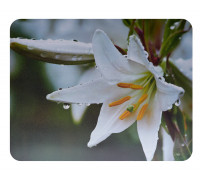 Коврик Perfeo Flower; 240х200х2 мм 
