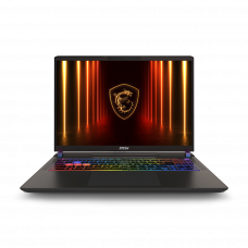 Ноутбук 16" IPS MSI Vector A14VIG-636TAA+
