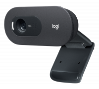 Web-камера Logitech C505e HD (960-001372)