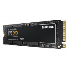 Жесткий диск SSD 250.0 Gb; Samsung 970 EVO 2.5