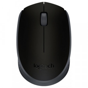 Мышь беспроводная Logitech Wireless Mouse M171; USB; Black (910-004424)